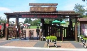 Taiwan Ching Jing Farm.89