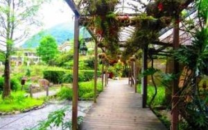 Taiwan Yi Ecological Farm.31