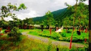 Taiwan Yi Ecological Farm.32