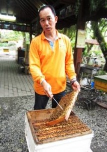 Taiwan Yi Ecological Farm.5