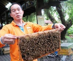 Taiwan Yi Ecological Farm.8