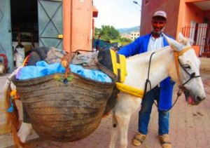 Morocco. Berber.47