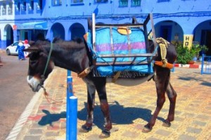 Morocco.Chefchaouen.103