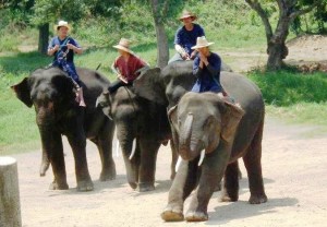 Chiang Rai.17.1