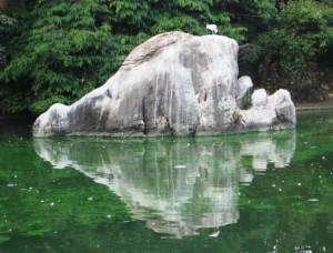 stone-forest-1