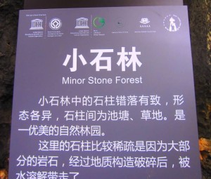 stone-forest-14