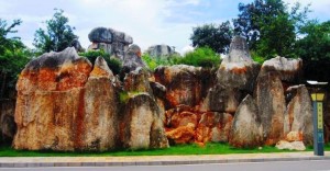 stone-forest-16