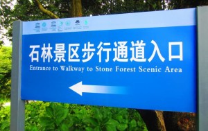 stone-forest-7